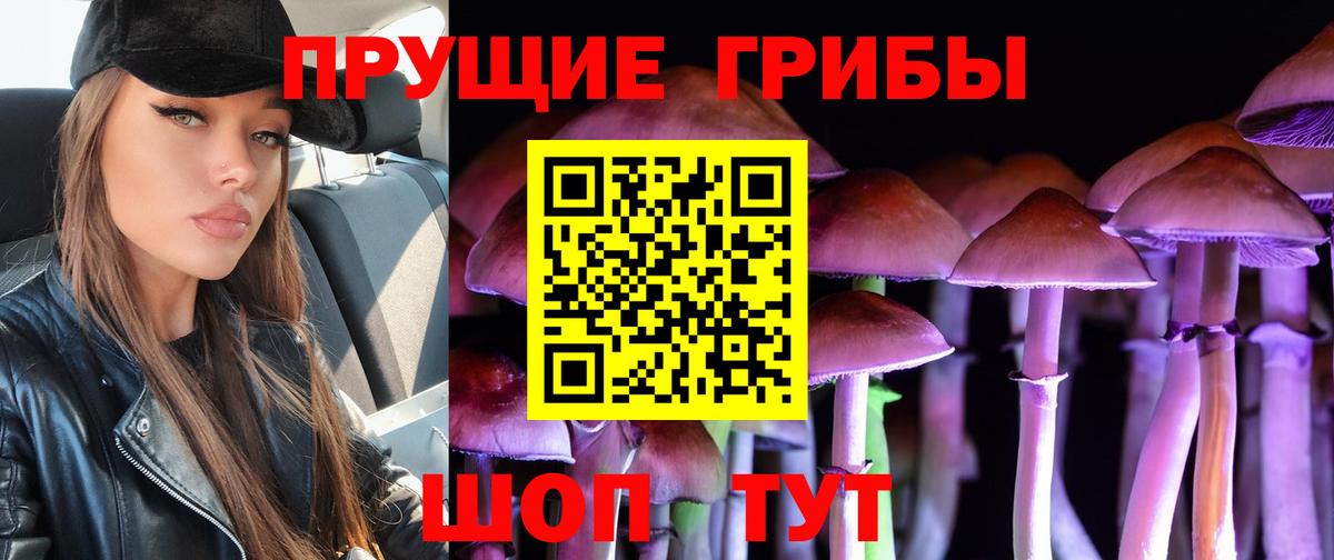 Псилоцибиновые грибы GOLDEN TEACHER Красный Сулин
