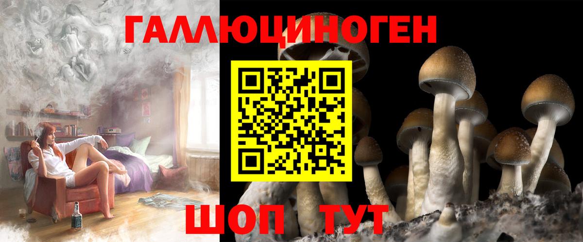 Галлюциногенные грибы Cubensis  Красный Сулин  Галлюциногенные грибы мицелий 