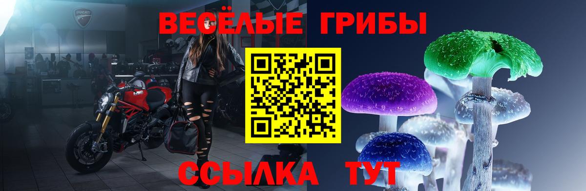 Красный Сулин  Псилоцибиновые грибы Psilocybe  Галлюциногенные грибы мицелий  Вход с VPN 
